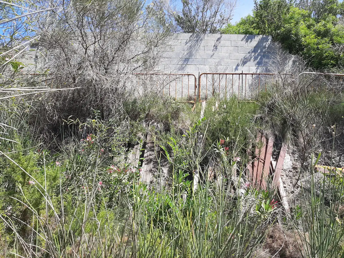 Residential land for sale in Calle dels Pins, imagen 13