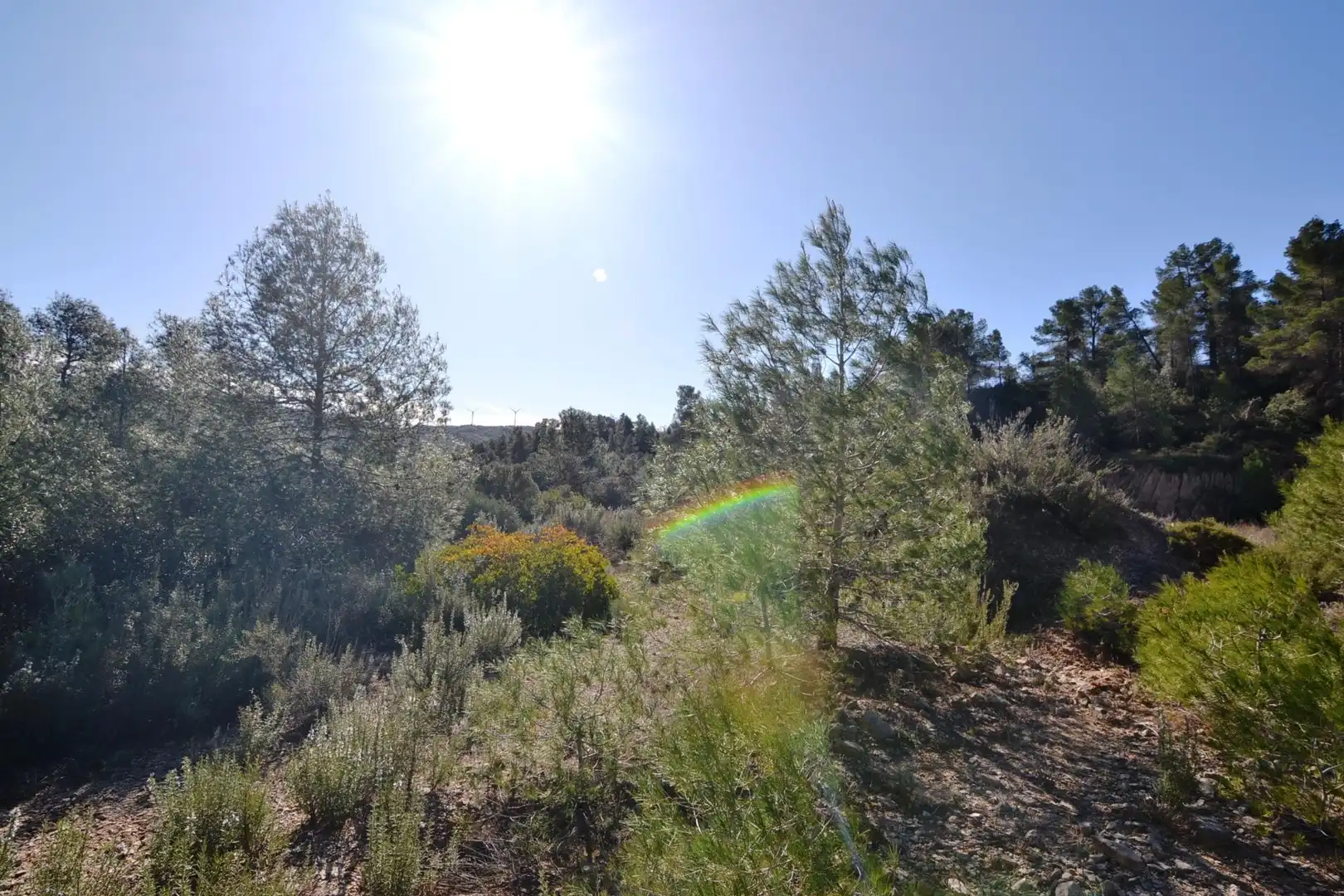 Rural land for sale in Ascó, imagen 20