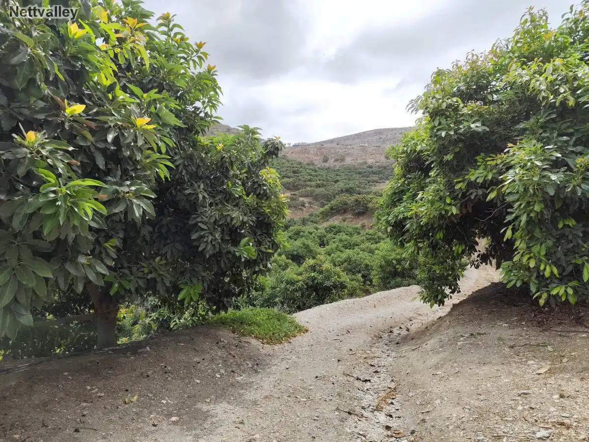 Casa rústica en venda a BARRANCO DEL INGLÉS S/N, imagen 45