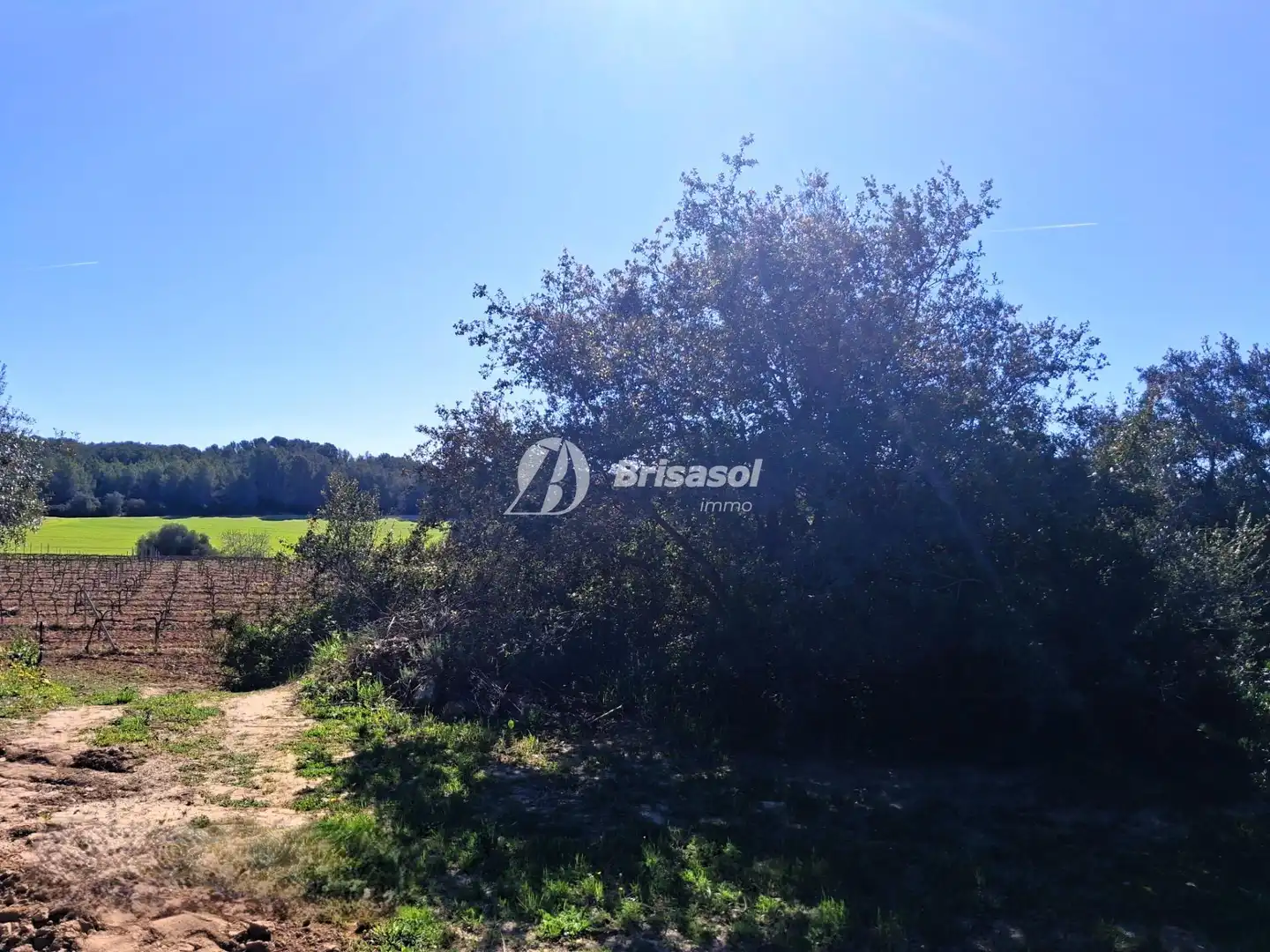 Rural land for sale in La Secuita, imagen 6