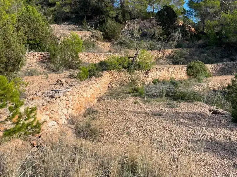 Finca rústica en venda en Sant Josep de sa Talaia