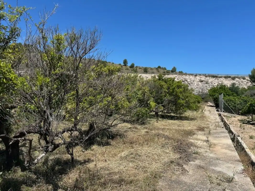 Terreno en venta en La Font d'en Carròs