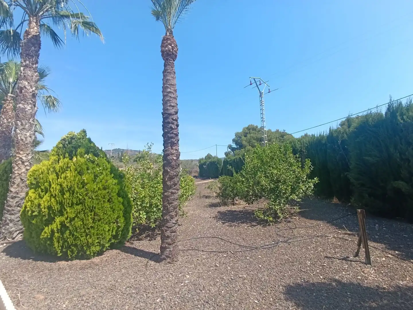 Casa o xalet en venda en Totana amb Aire condicionat, Jardí privat i Terrassa