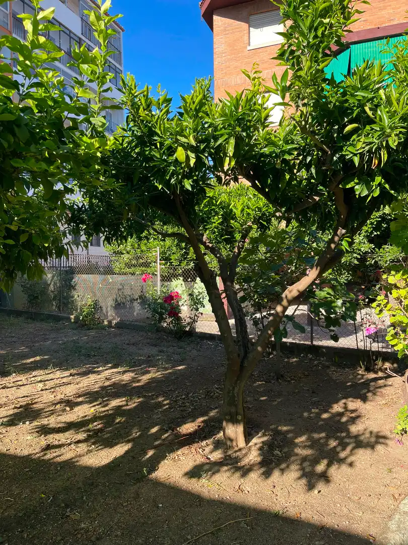 Garden of Houses for sale in Plasencia  with Heating, Private garden and Terrace