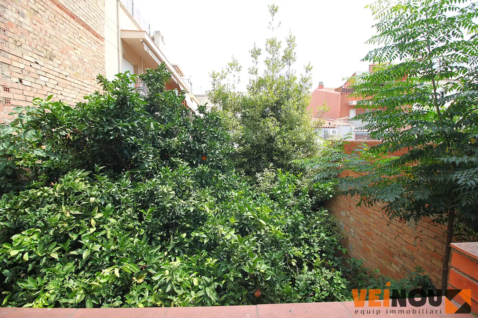 Jardín de Casa adosada en venta en Cornellà de Llobregat con Terraza y Balcón