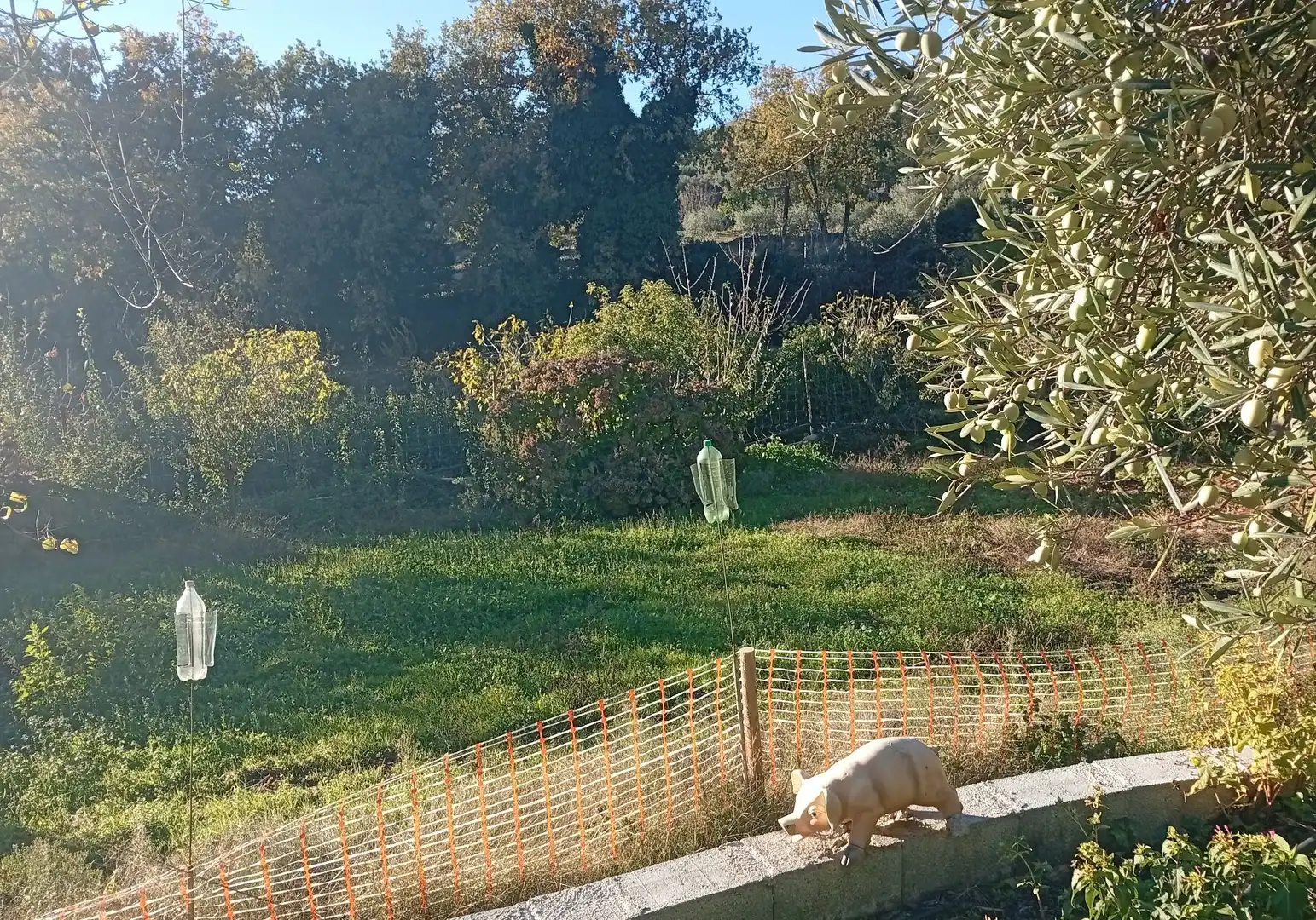 Terreni e lotti in vendita a Villanueva de la Vera, imagen 51