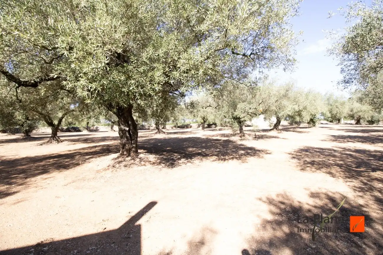 Terreno rustico in vendita a La Galera, imagen 7