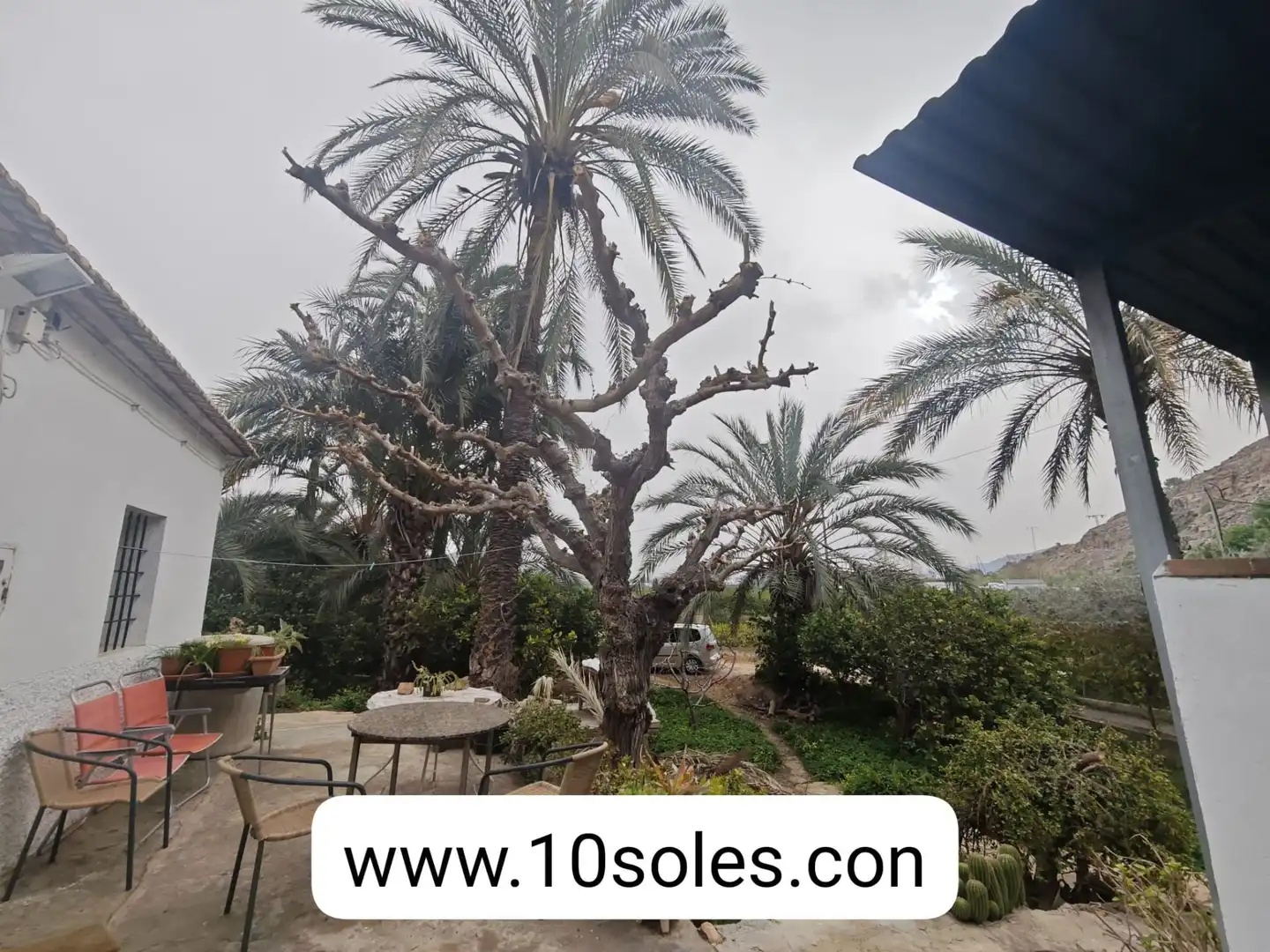 Casa amb piscina en venda a Montepinar - La Aparecida - Raiguero, imagen 4