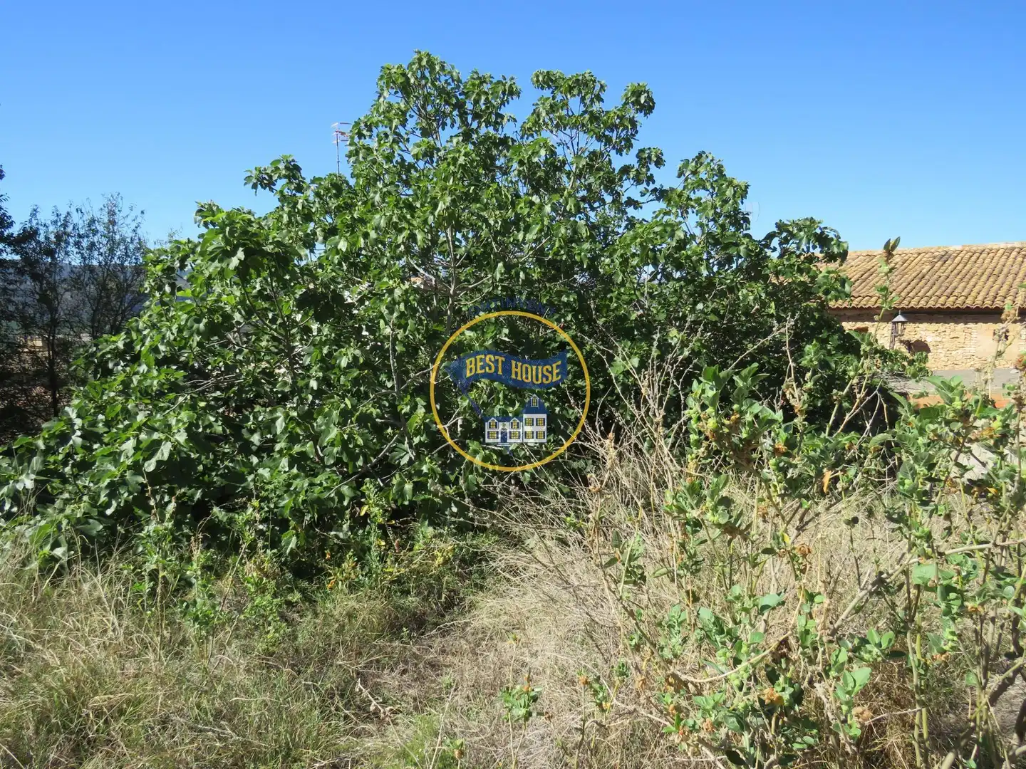 Lands and plots for sale in Montesa, imagen 9