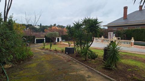 Photo 4 of House or chalet for sale in Calle Encina, Moguer, Huelva