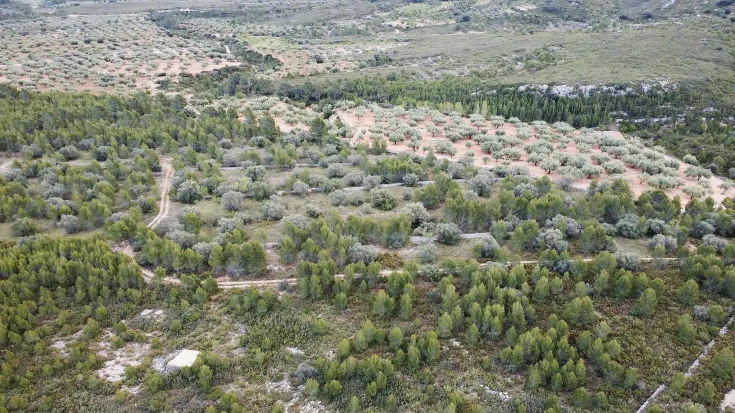 Grundstücke zum Verkauf in Canet lo Roig