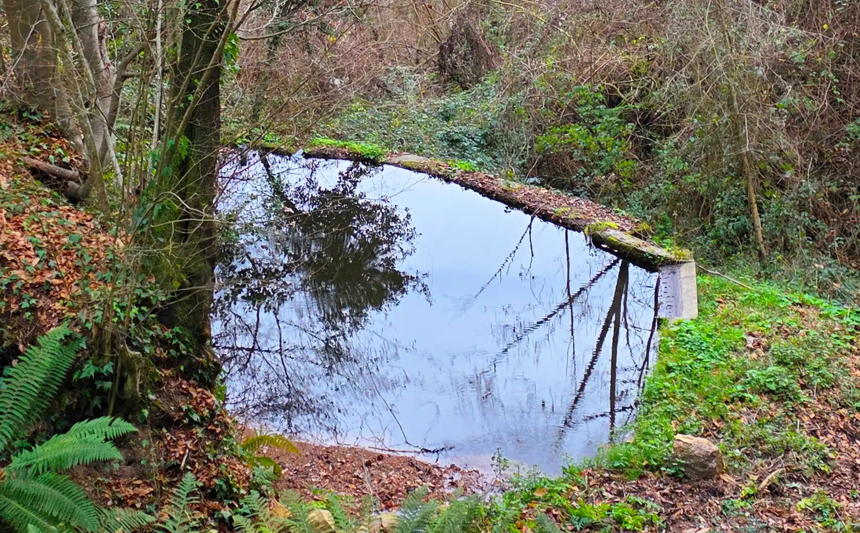 Piscina de Finca rústica en venta en Sant Hilari Sacalm con Jardín privado y Balcón