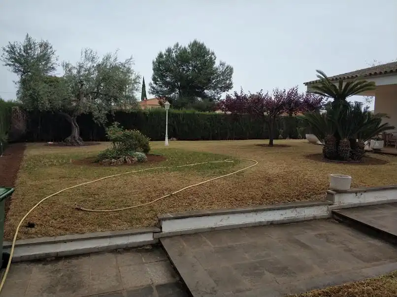 Jardí de Casa o xalet en venda en Castellón de la Plana / Castelló de la Plana amb Aire condicionat, Calefacció i Jardí privat