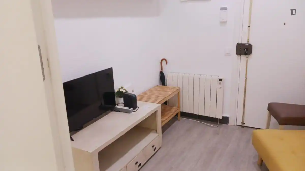 Sala d'estar de Apartament de lloguer en Madrid amb Moblat, Forn i Rentadora
