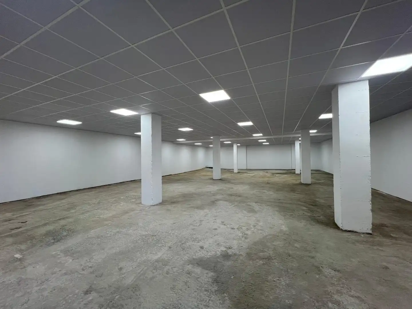 Gewerbefläche zum Verkauf in Nueva Alcalá, imagen 4