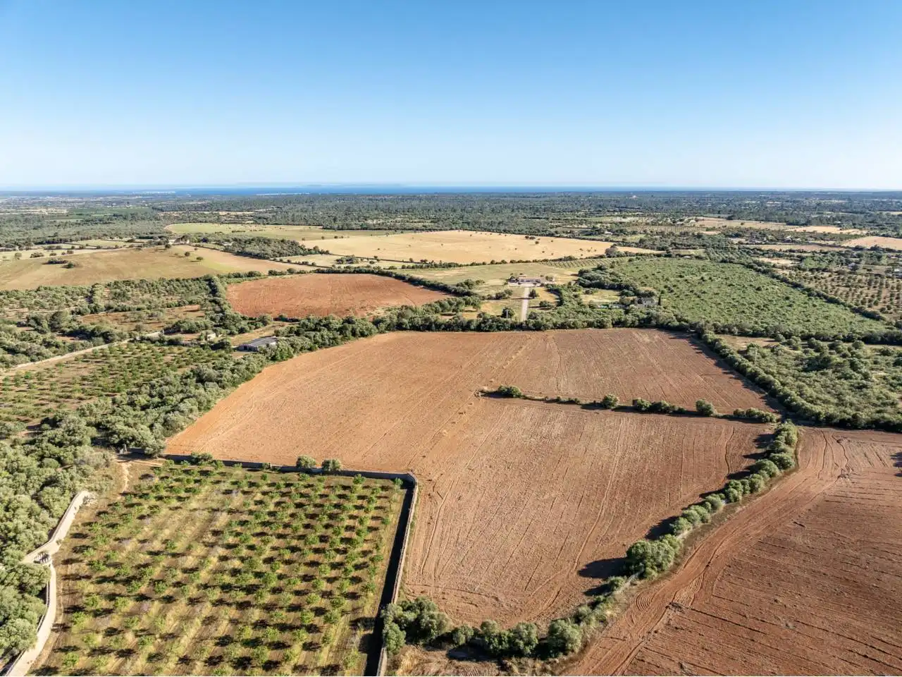 Terreno rustico in vendita a Llucmajor pueblo, imagen 114