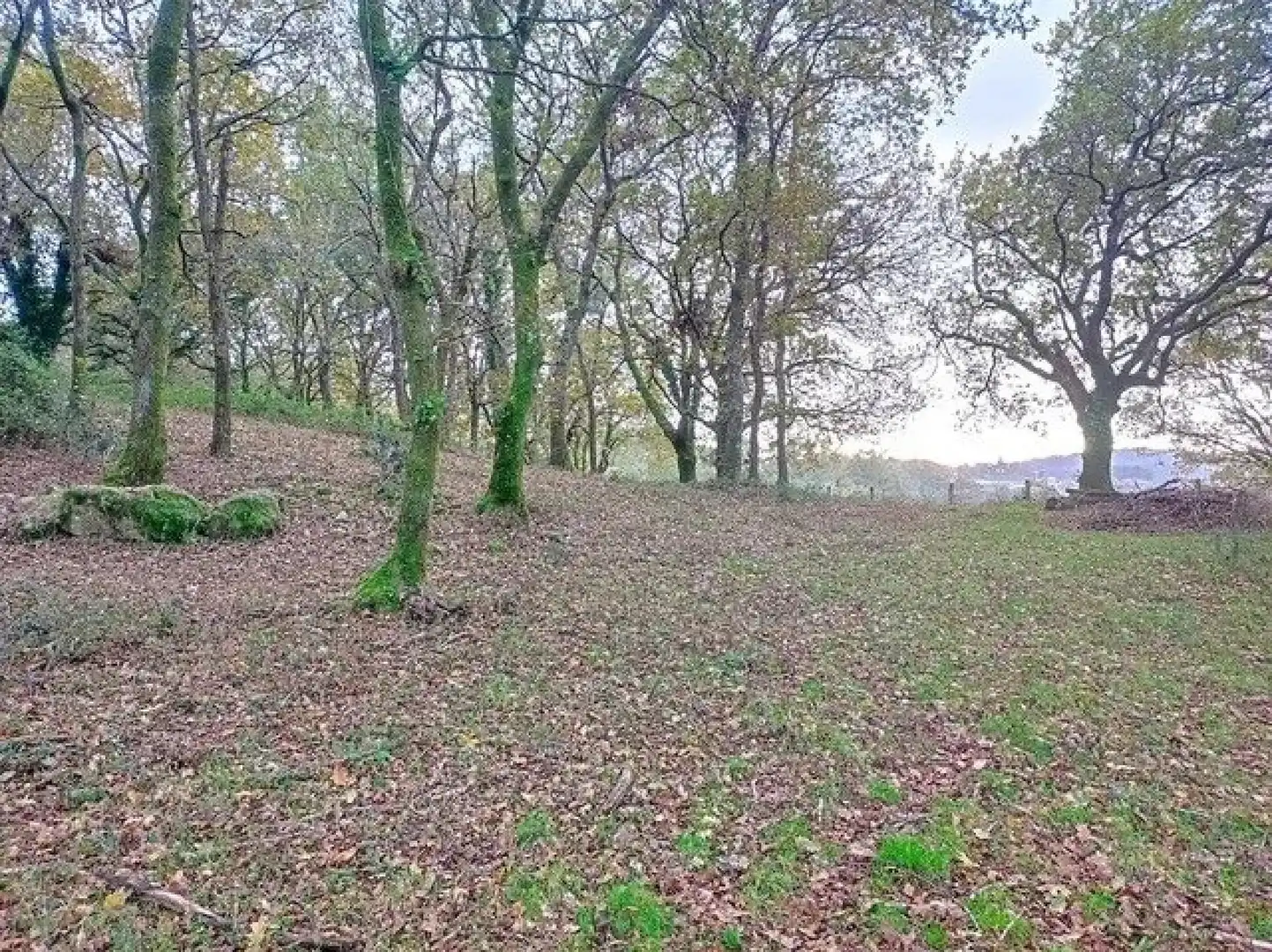 Finca rústica en venta en A Estrada 