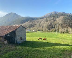 Exterior view of Country house for sale in Llanes