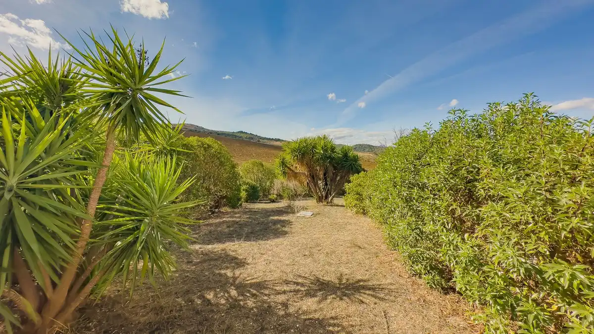 Casa o xalet en venda en Almogía amb Aire condicionat, Jardí privat i Terrassa