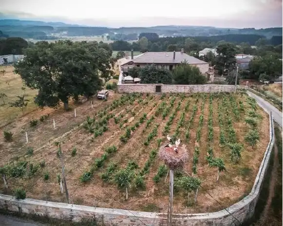 Casa o xalet en venda en O Páramo  amb Jardí privat