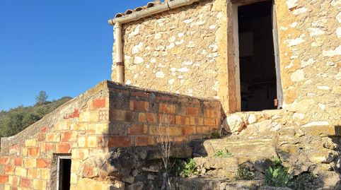 Se vende finca rústica situada en el municipio de Flix, immagine 2