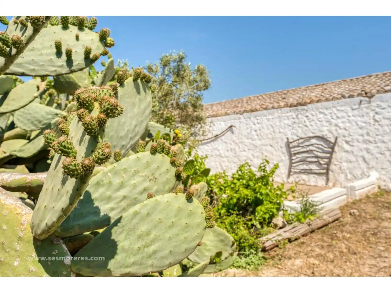 Terreno rustico in vendita a Sant Climent - Es Canutells, imagen 22
