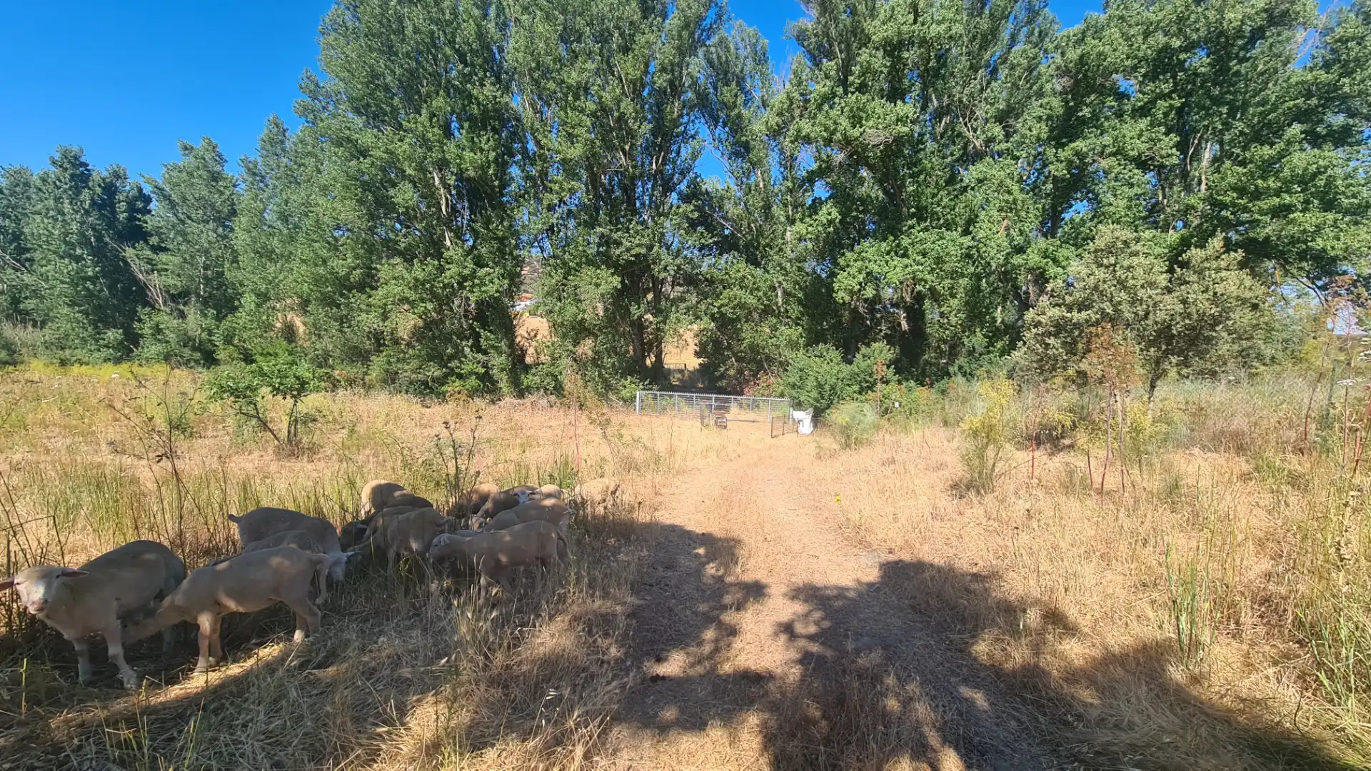 Terreno en venta en Malcocinado