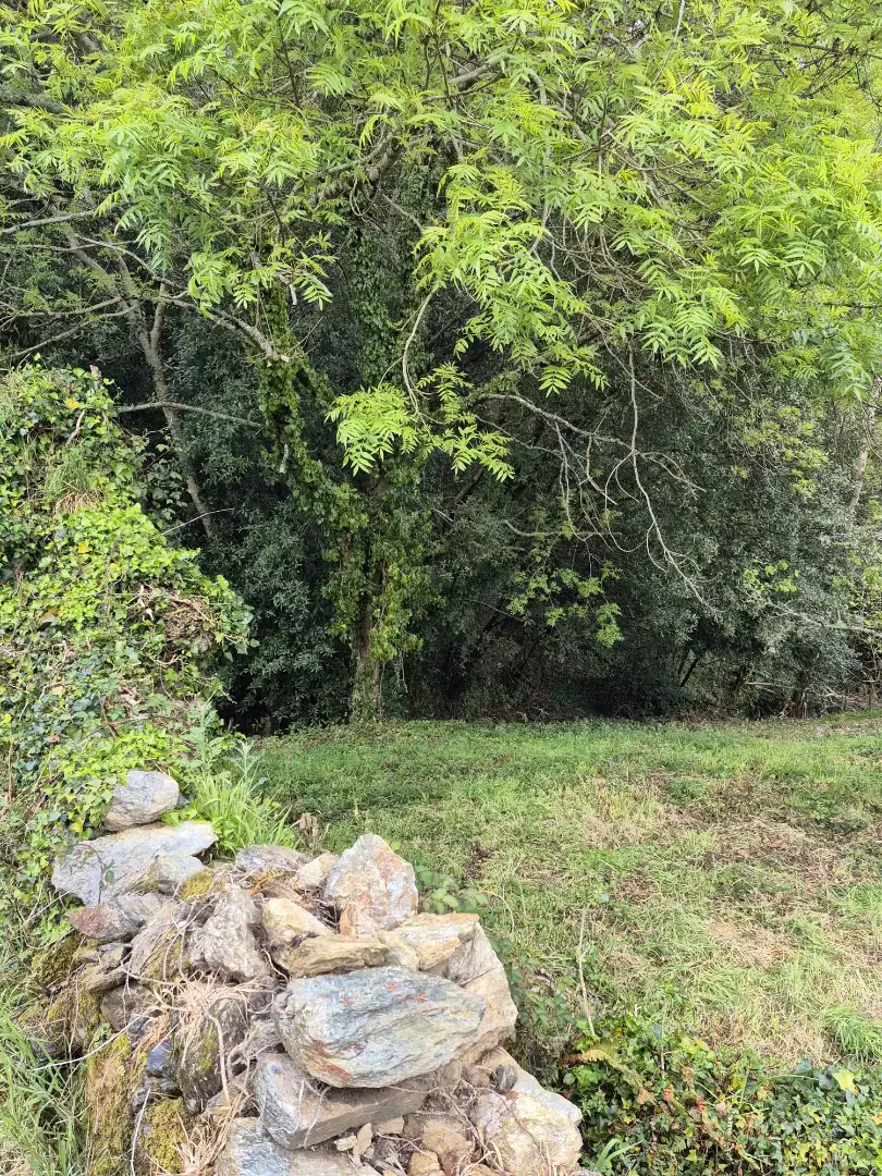 Finca rústica en venta en As Somozas  con Jardín privado