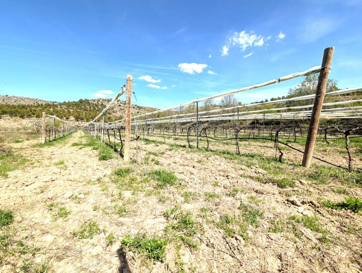 Finca rústica en venta en Moratalla con Calefacción, Jardín privado y Amueblado