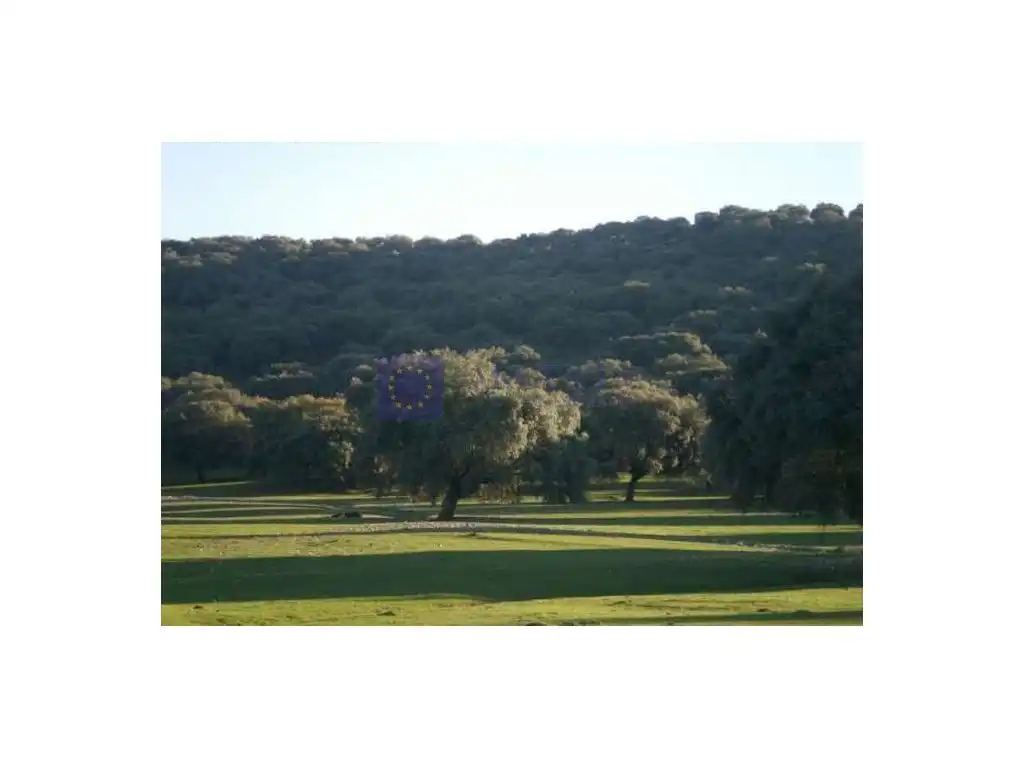 Casa en venda a Salorino