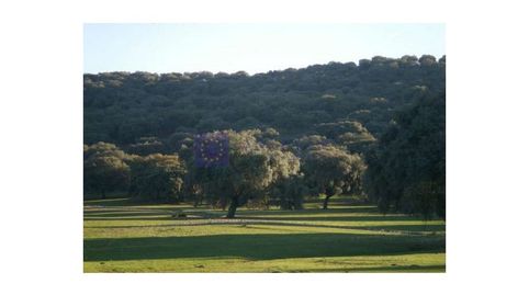 FINCA GANADERA DE UNAS 350 HECTÁREAS EN LA ZONA DE ALISEDA