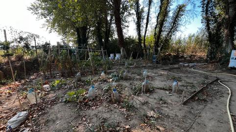 Foto 5 de Residencial en venda a Poligono 3 Parcela 221 Els Estanys, 221, Castelló d'Empúries, Girona