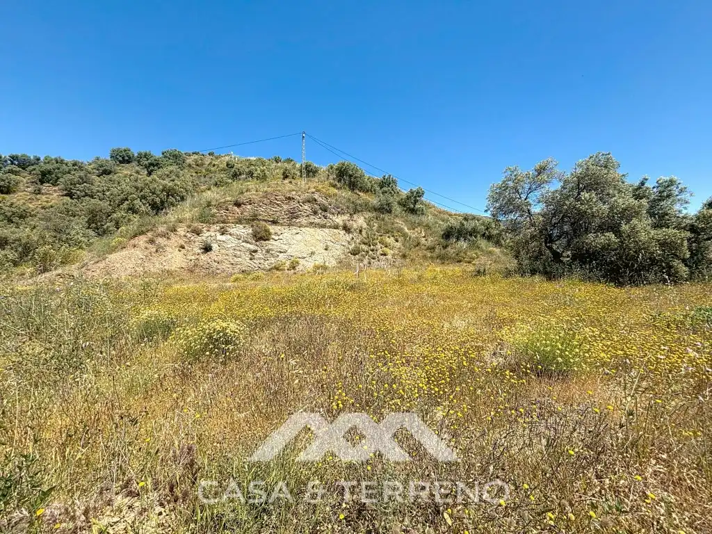 Land for sale in Canillas de Albaida