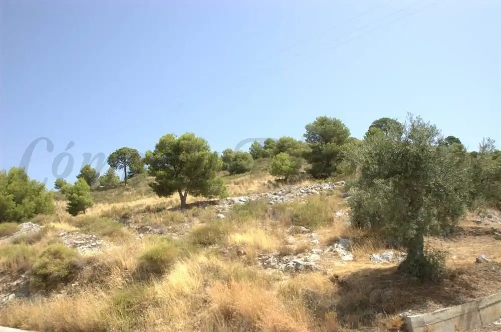 Terreny rústic en venda a Canillas de Albaida, imagen 2