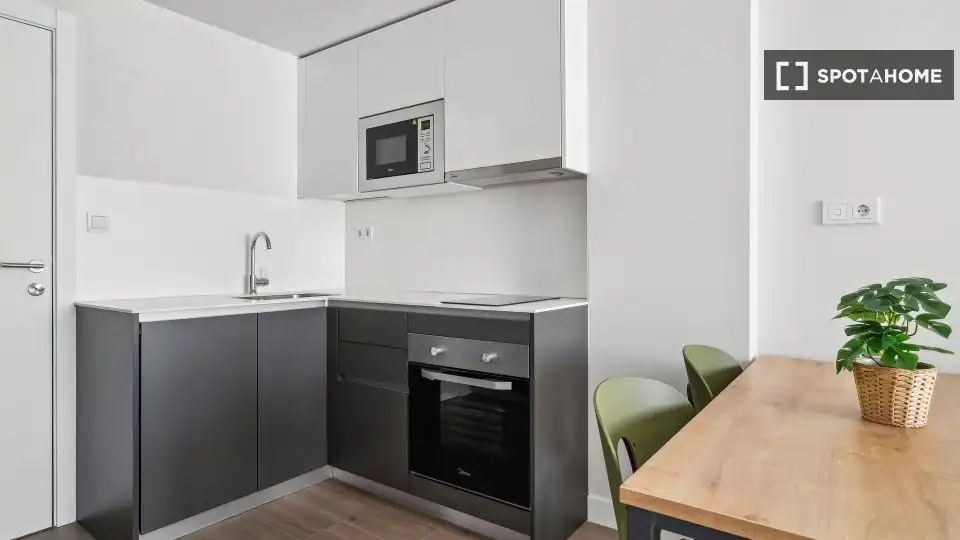 Kitchen of Flat for rent in Madrid  with Air Conditioner, Heating and Furnished