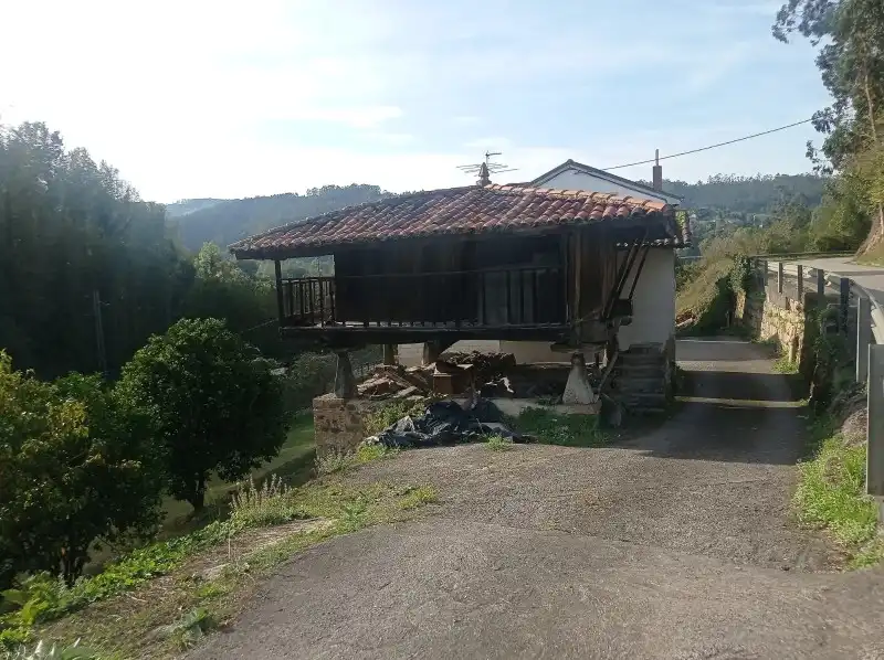 Vista exterior de Casa o chalet en venta en Pravia con Calefacción, Trastero y Amueblado