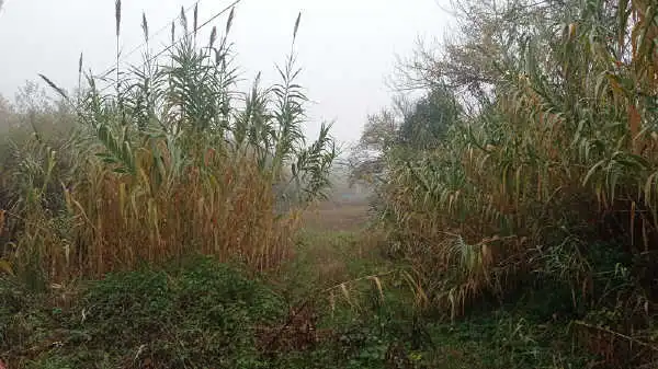 Terreno rustico in vendita a Aigua de la Baells, imagen 6