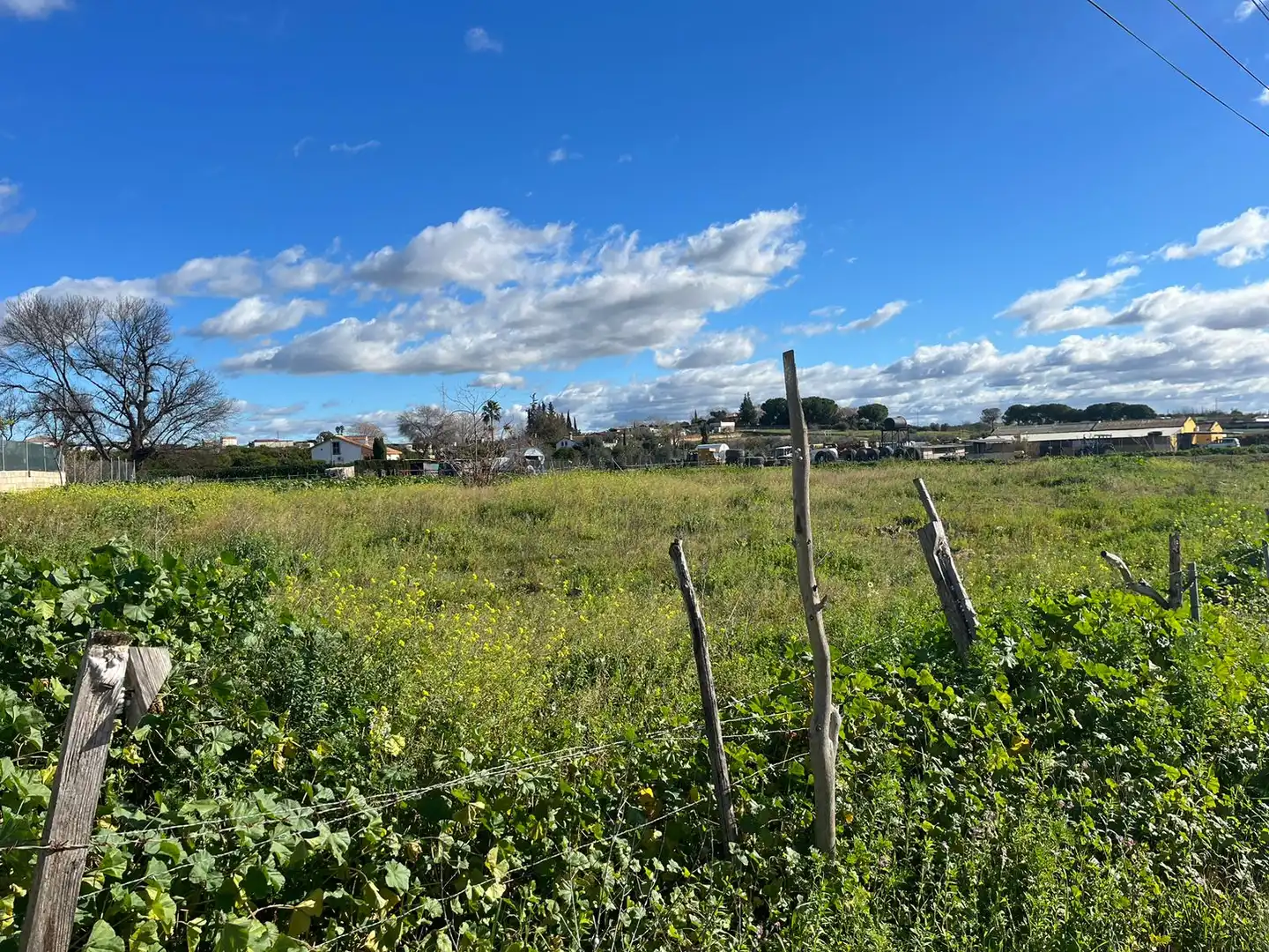 Terrenys i solars en venda a Coria del Río