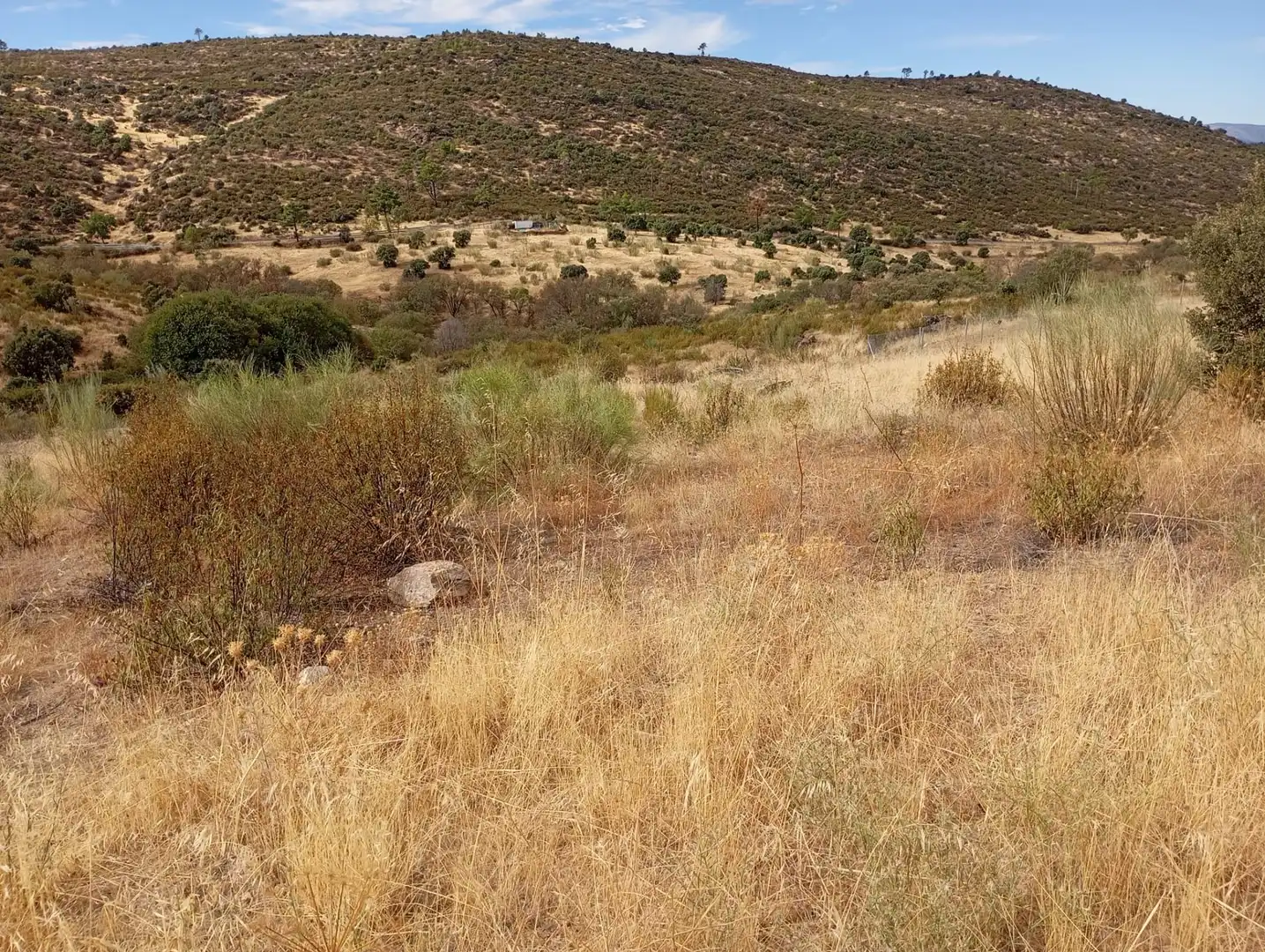 Terrenos y solares en venta en Robledo de Chavela, imagen 25