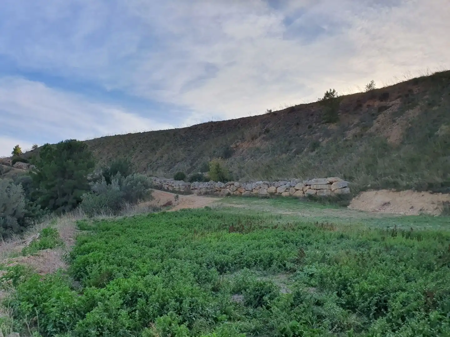 Terrain résidentiel à vendre à Xerta, imagen 12