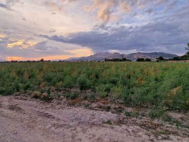 Terreno rustico in vendita a Maracena