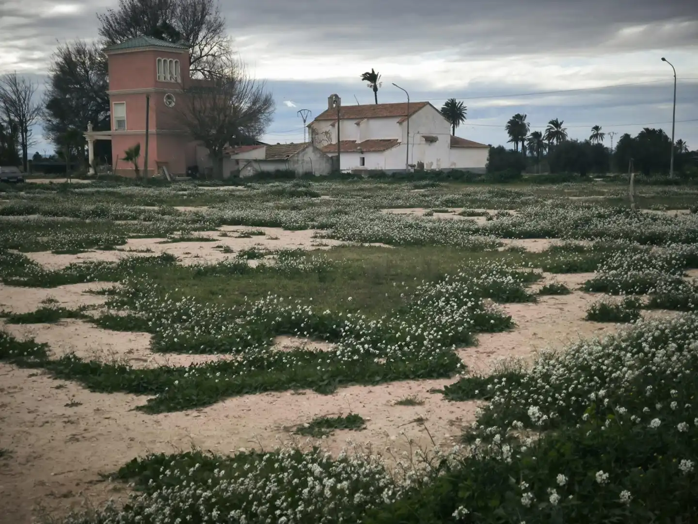 Rustikales Grundstück zum Verkauf in Partida derramador, imagen 4