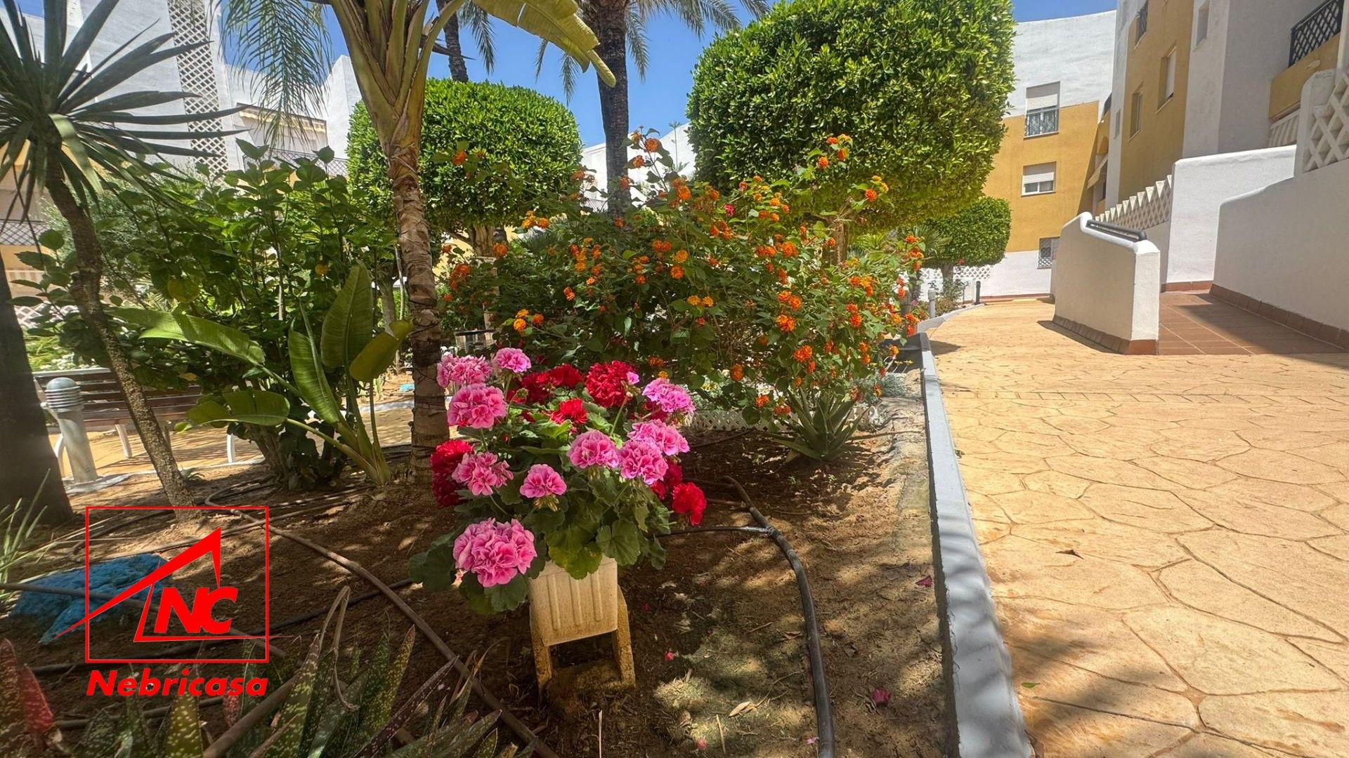 Jardí de Pis en venda en Rota amb Terrassa