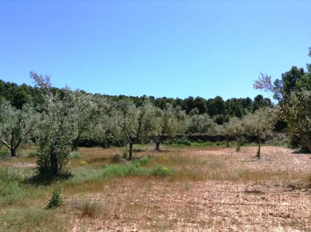 Terreni e lotti in vendita a Arens de Lledó, imagen 12