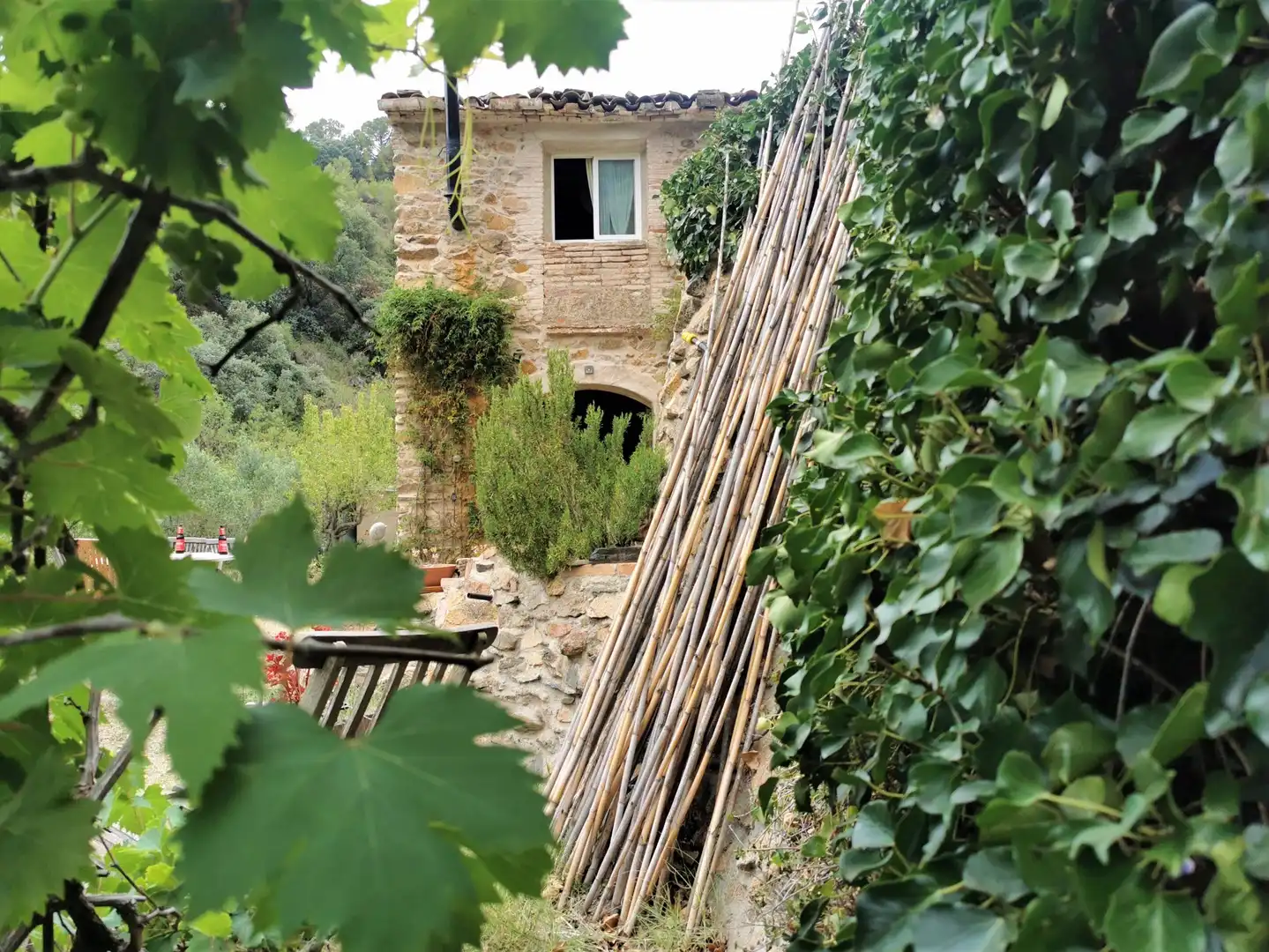 Vista exterior de Casa o chalet en venta en Porrera con Calefacción, Jardín privado y Terraza