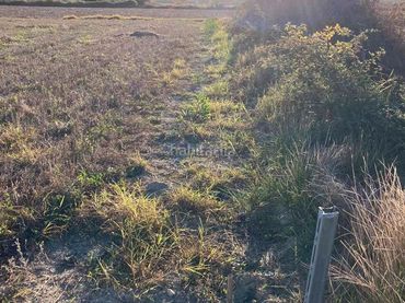 Terrain rustique à vendre à Ma-3222 1219