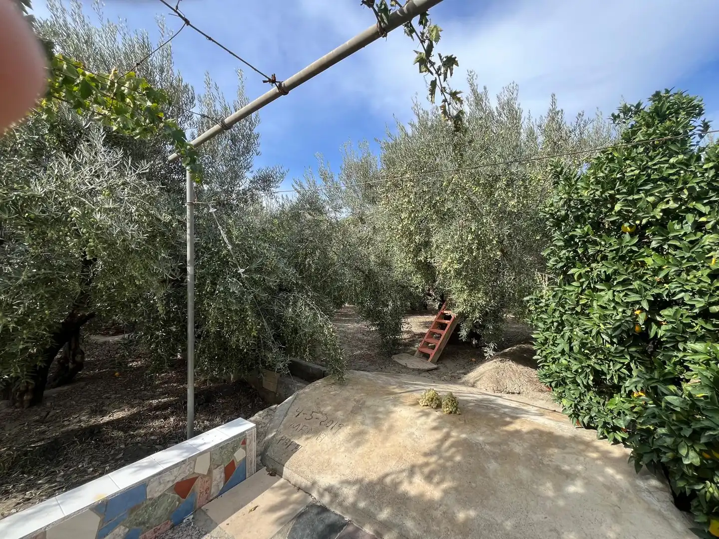Jardín de Terreno en venta en Alsodux
