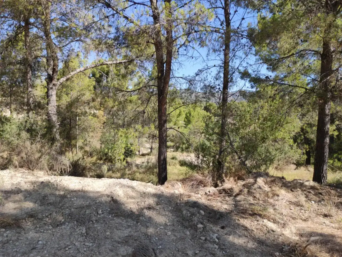 Terreno en venta en Busot