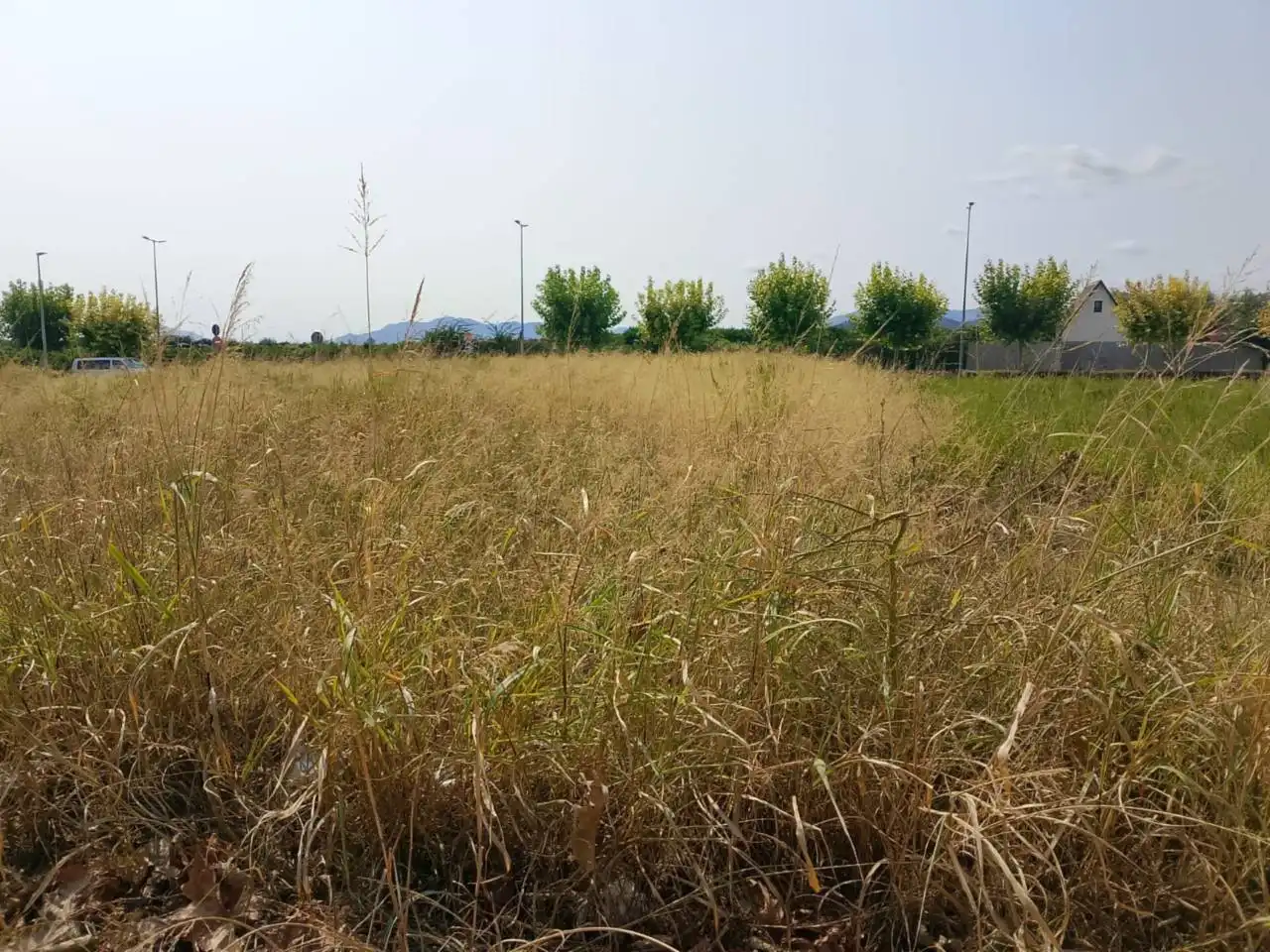 Residential land for sale in Calle Botánico Cabanilles, imagen 9