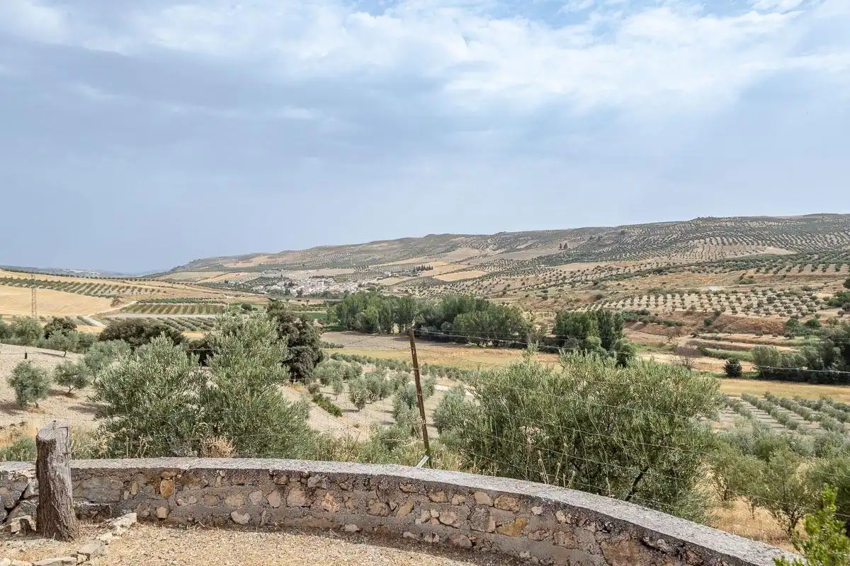 Villa mit Pool zum Verkauf in Santa Cruz del Comercio, imagen 3